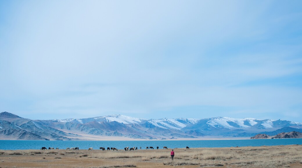 Morning over Tolbo Lake and some not very fearful Mongolian horses.
#waterlust #blue