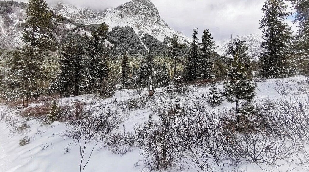 Over yonder , Mongolia