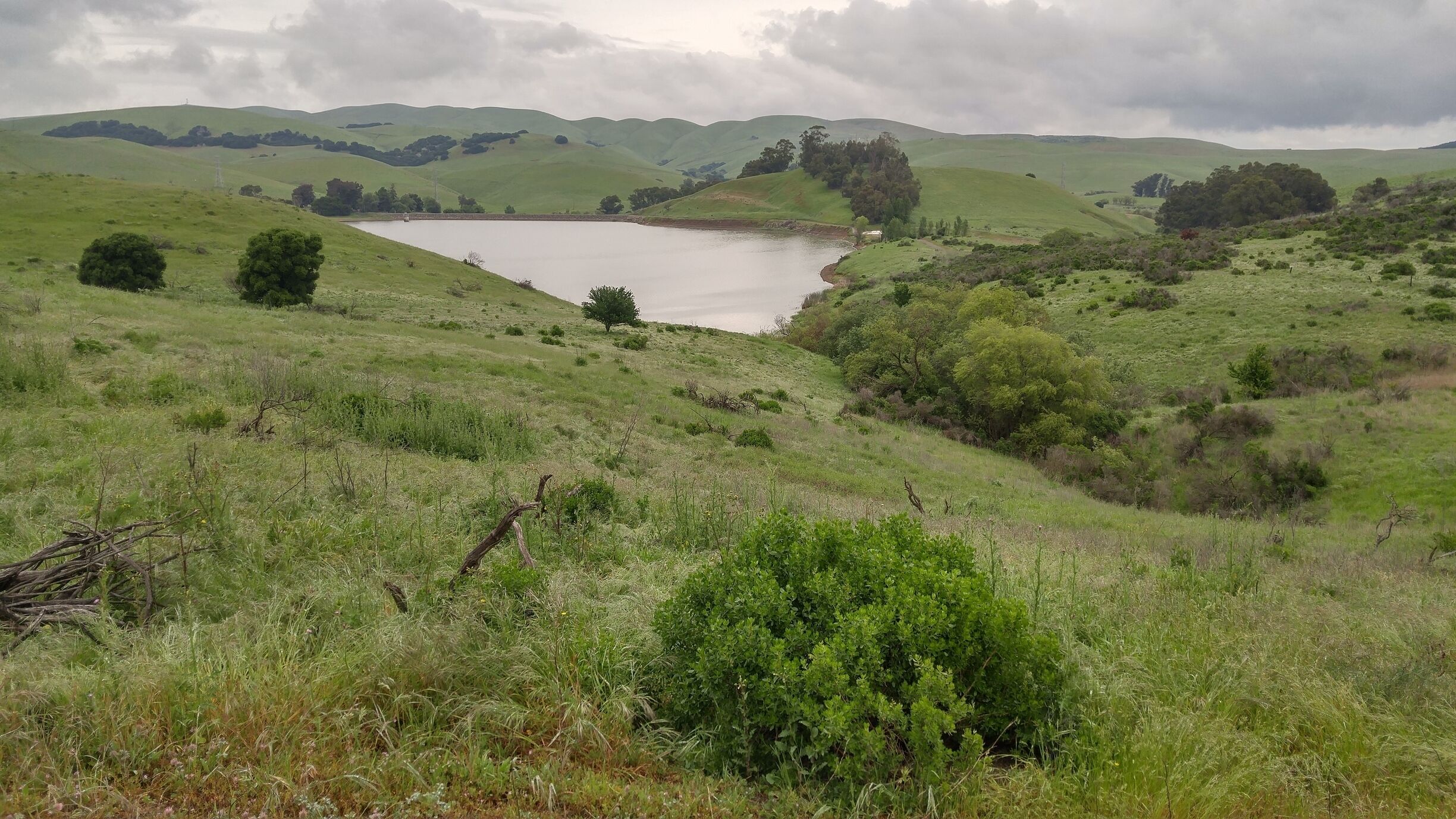 Nice place for walking and easy hiking.