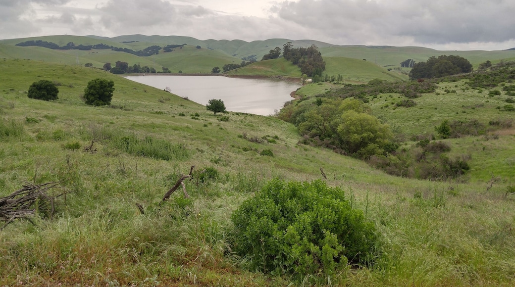 Nice place for walking and easy hiking.