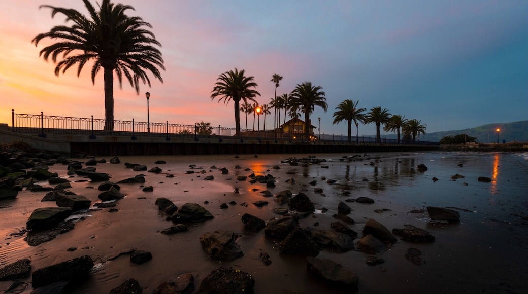 A beautiful morning in downtown Benicia California. Wake up for a beautiful sunrise then head over to Farm & Flour for tasty breakfast treat! #benicia #california #sunrise #beach #ocean #waves #palmtrees