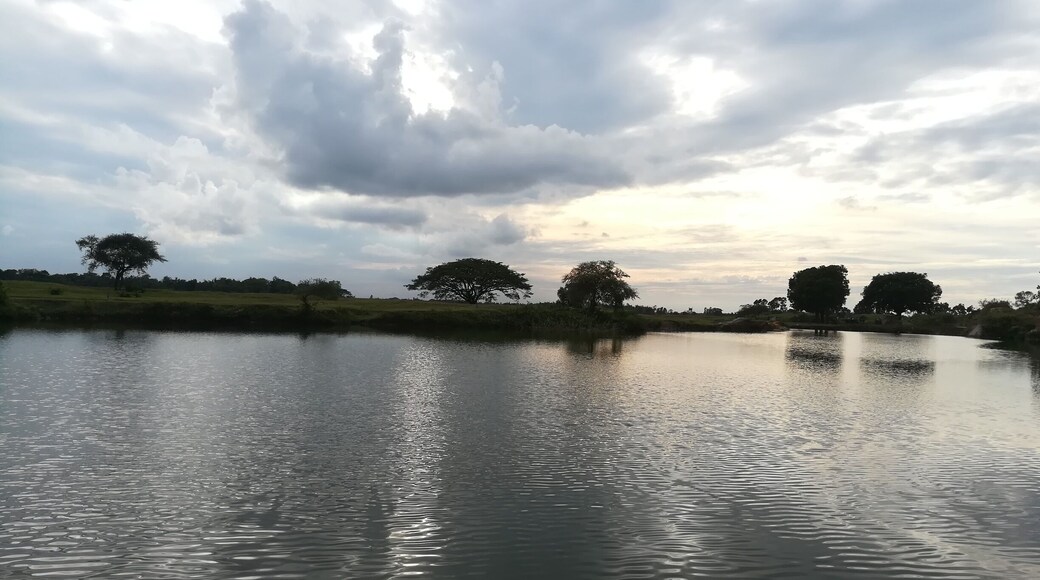 Pond by the china clay hill