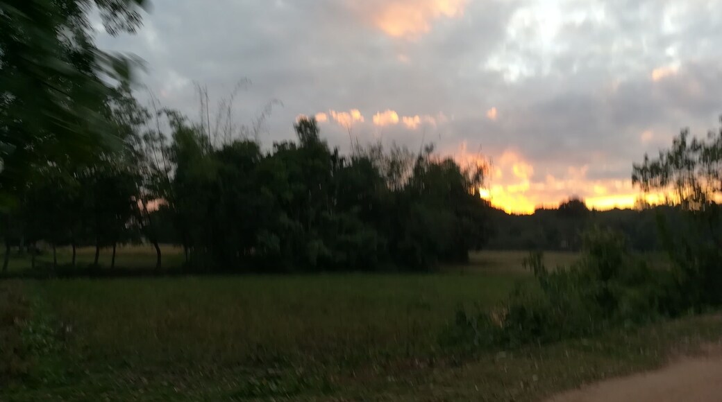 Sun sets fire on sky during sunset.