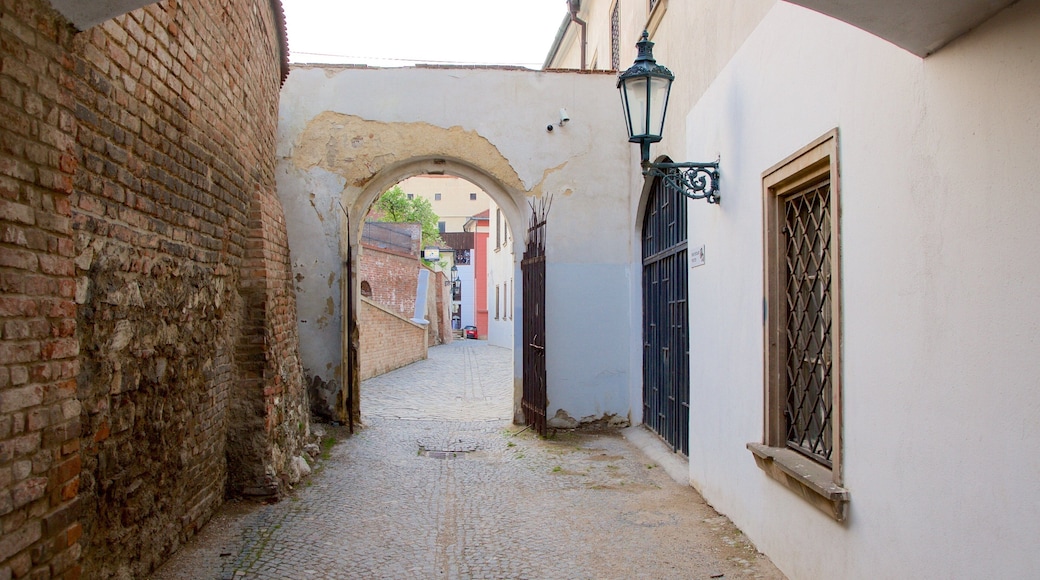 Brno mostrando una ciudad