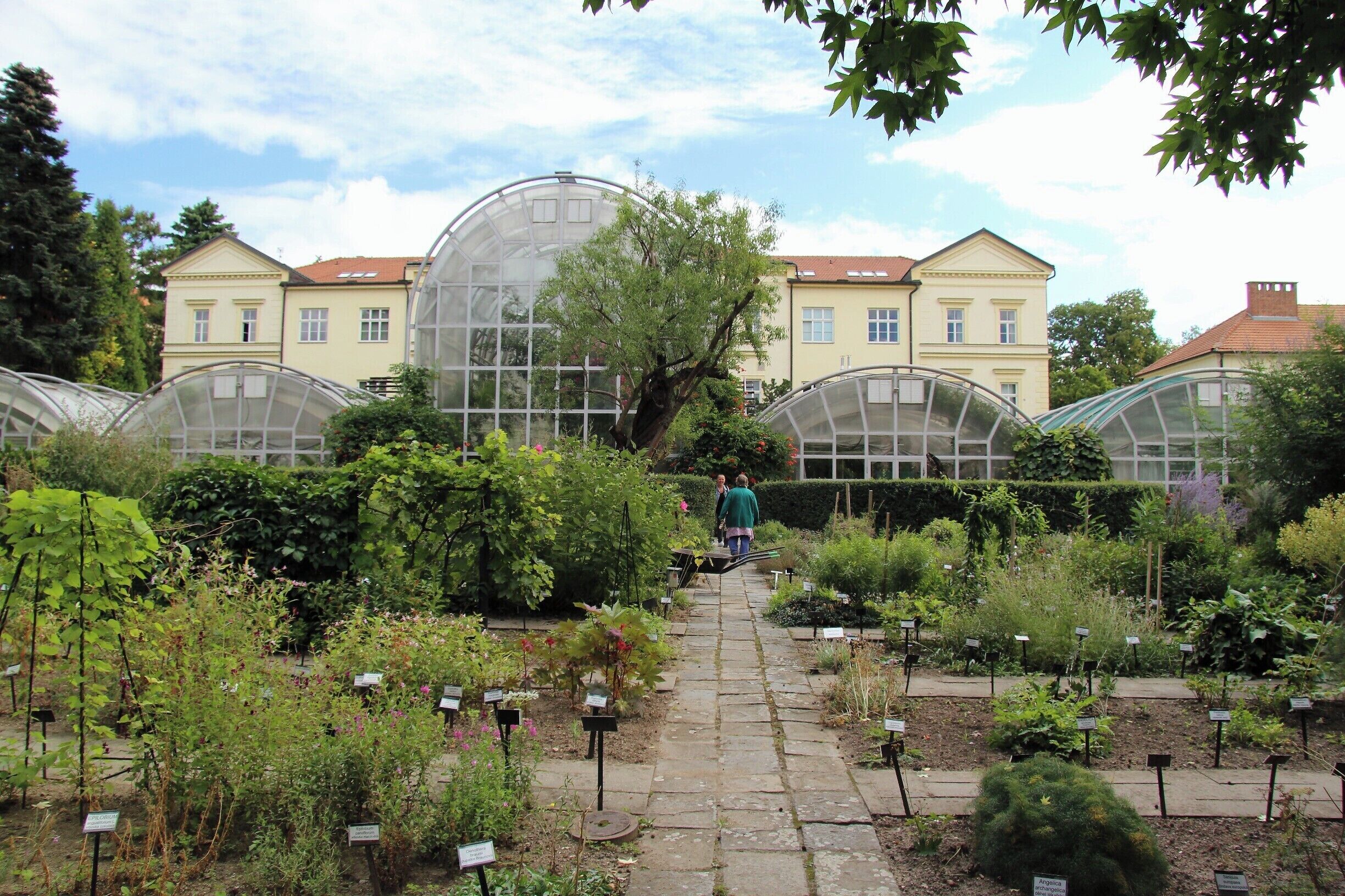 Botanical Gardens and Arboretum, Zemědělská 1. Brno - Cz.

Three Botanical gardens at Brno :
http://arboretum.mendelu.cz/en

http://www.med.muni.cz/medplant/

http://www.sci.muni.cz/bot_zahr/index_en.cz.htm