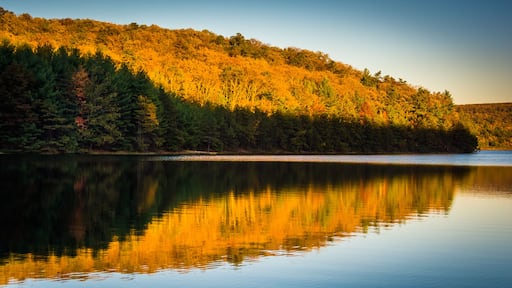 Un lago tranquilo que refleja un paisaje boscoso con follaje otoñal.