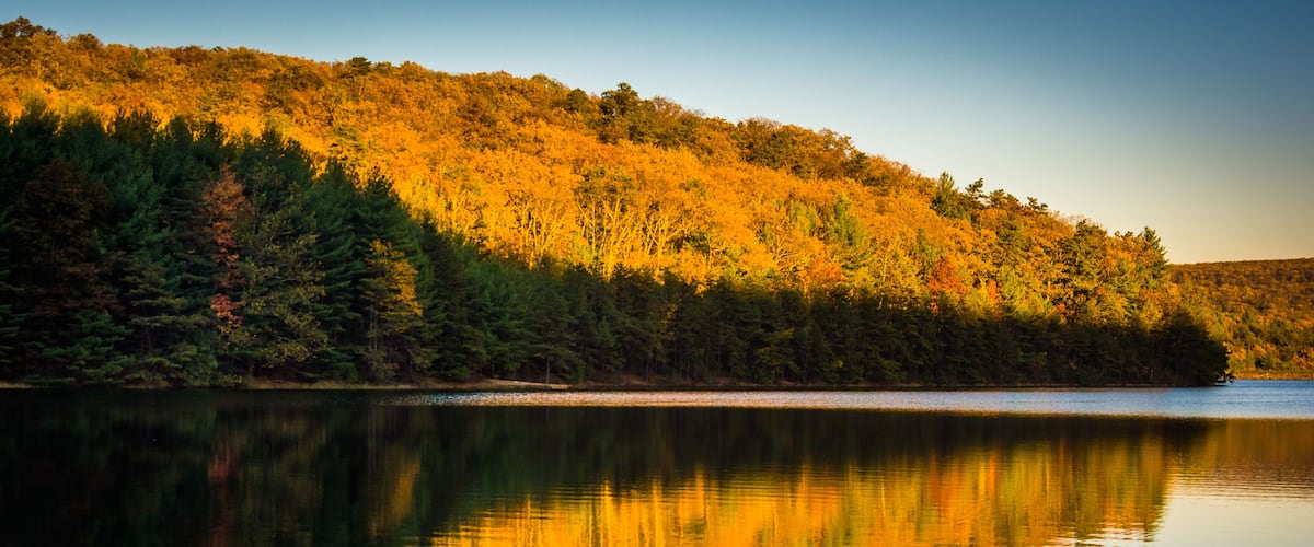 A calm lake reflecting a forested hillside with autumn foliage.