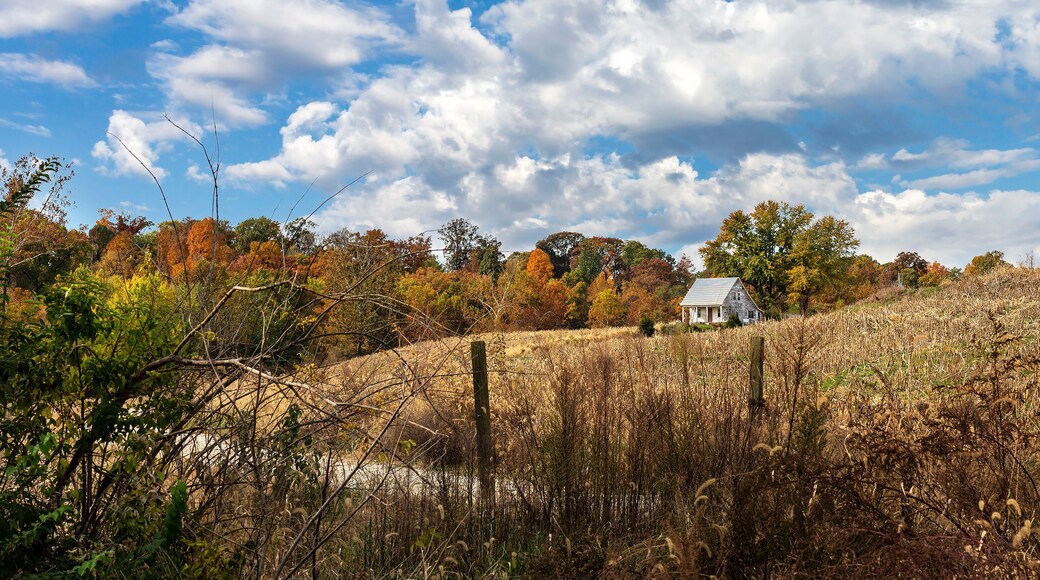 Rural autumn southern Illinois countryside landscape with aging farmhouse on a hillside under a cloudy sky