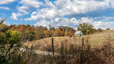 Paisagem rural com uma casa de pedra rodeada por folhagem de outono e um campo de gramíneas altas.