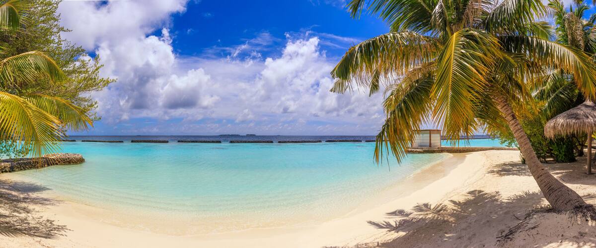 A tropical beach with clear turquoise waters, palm trees, and a thatched-roof hut.