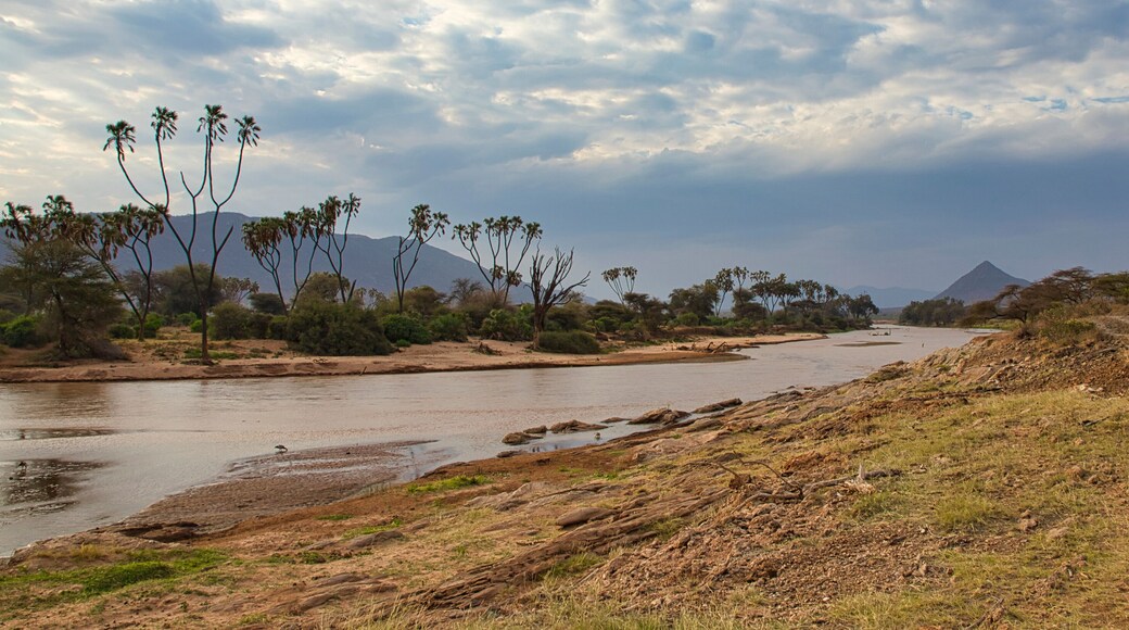 Ol Jogi Wildlife Conservancy