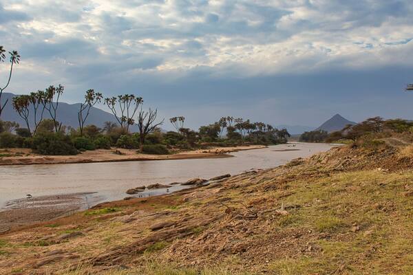 Landscape at Ewaso Ngiro River in the Samburu National Reserve in Kenya.