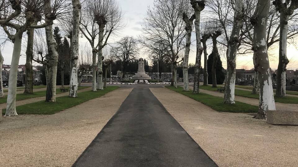 A park with a central monument, surrounded by birch trees and a paved walkway.