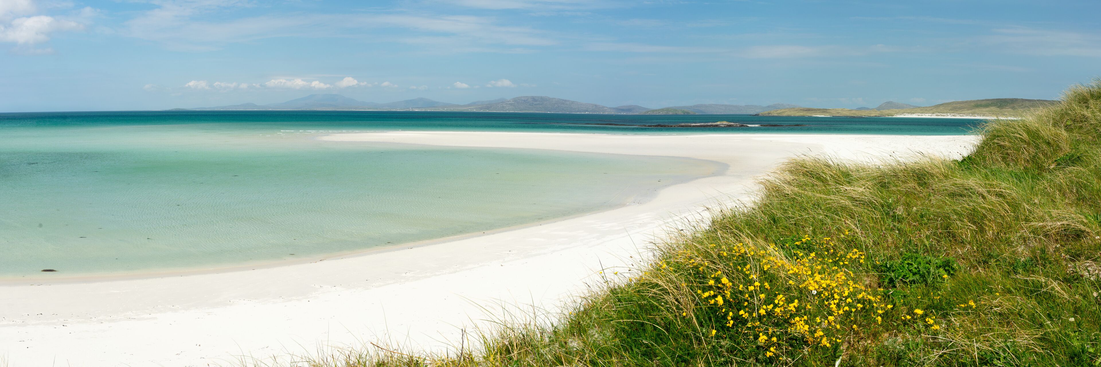 A beach with clear turquoise water, white sand, and grassy dunes with yellow flowers.