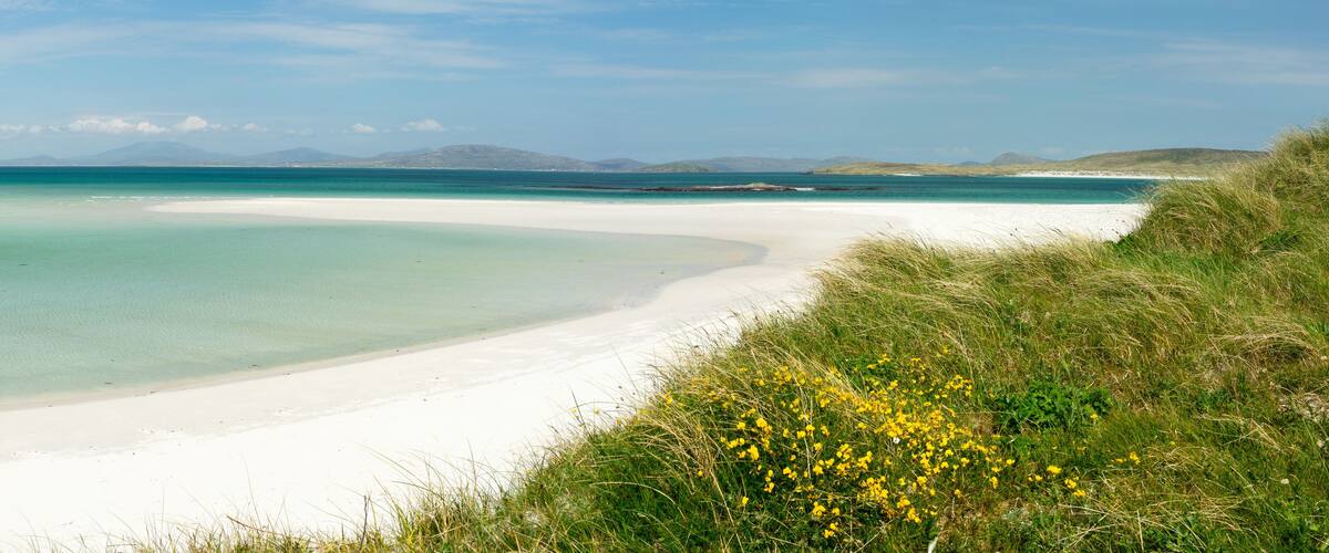 A beach with clear turquoise water, white sand, and grassy dunes with yellow flowers.