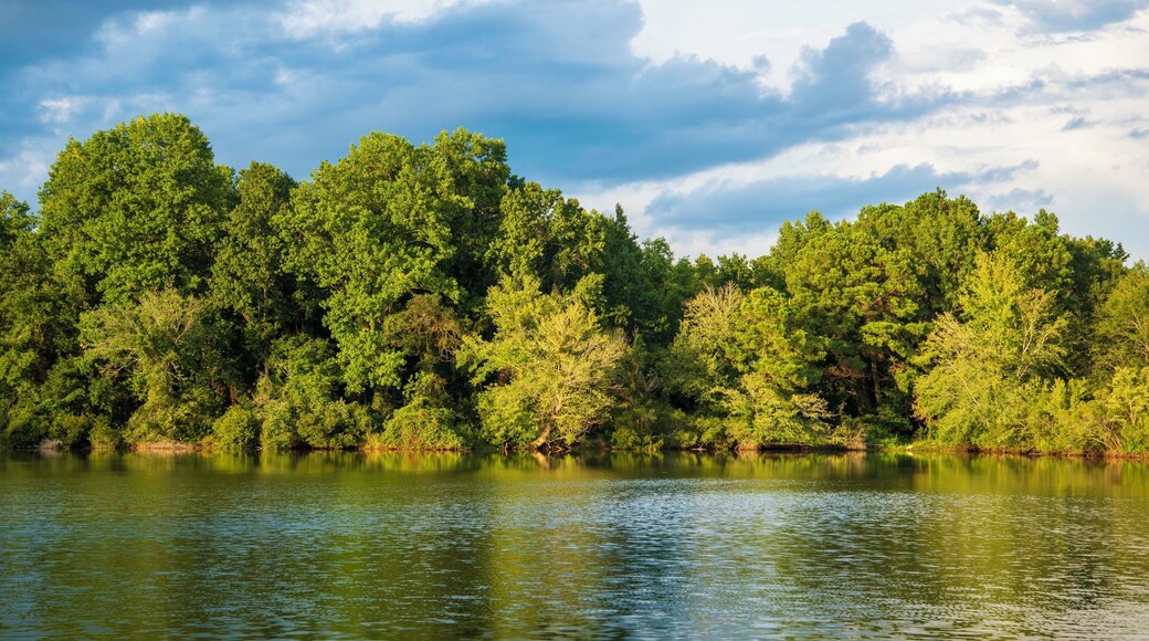 Great spot to stop on our 1400 mile journey. Quiet and clean campgrounds and the lake is a 100 yards from the sites. Small but beautiful, the lake has numerous wife from turtles to cottonmouth to numerous birds. A pleasant way to relax from a 350 mile drive.
