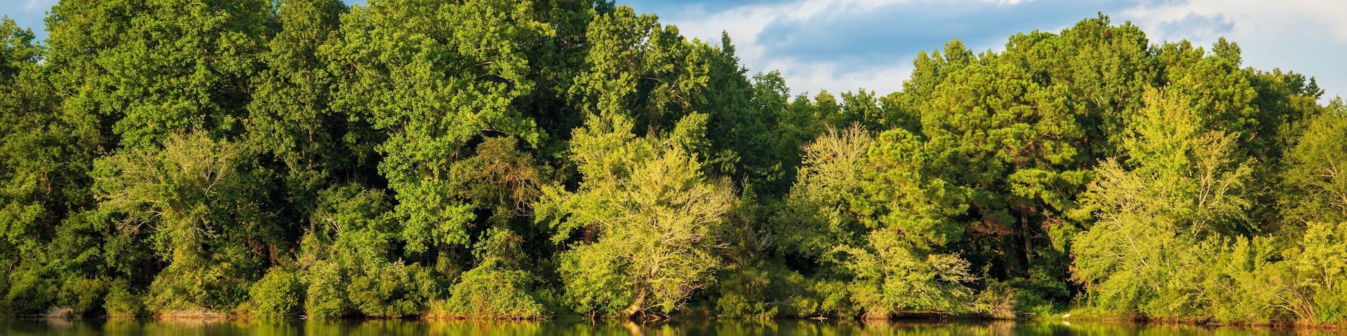 Great spot to stop on our 1400 mile journey. Quiet and clean campgrounds and the lake is a 100 yards from the sites. Small but beautiful, the lake has numerous wife from turtles to cottonmouth to numerous birds. A pleasant way to relax from a 350 mile drive.