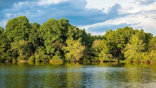 Great spot to stop on our 1400 mile journey. Quiet and clean campgrounds and the lake is a 100 yards from the sites. Small but beautiful, the lake has numerous wife from turtles to cottonmouth to numerous birds. A pleasant way to relax from a 350 mile drive.