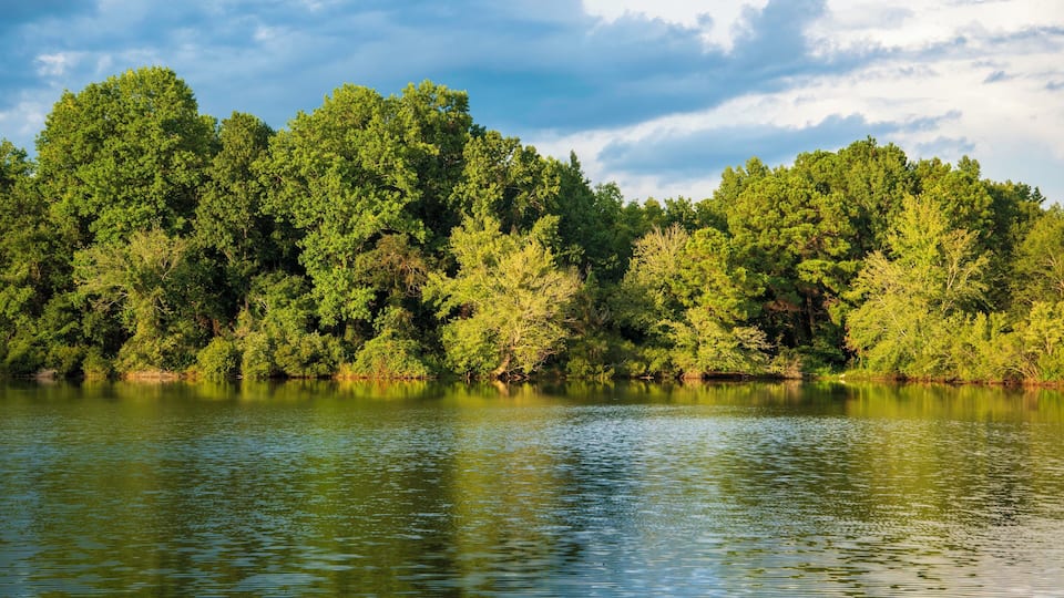 A calm lake surrounded by dense green trees under a partly cloudy sky.