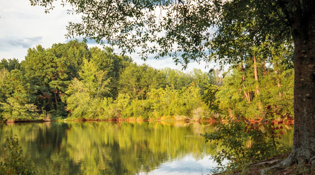 Another pic from Bass Lake RV campgrounds