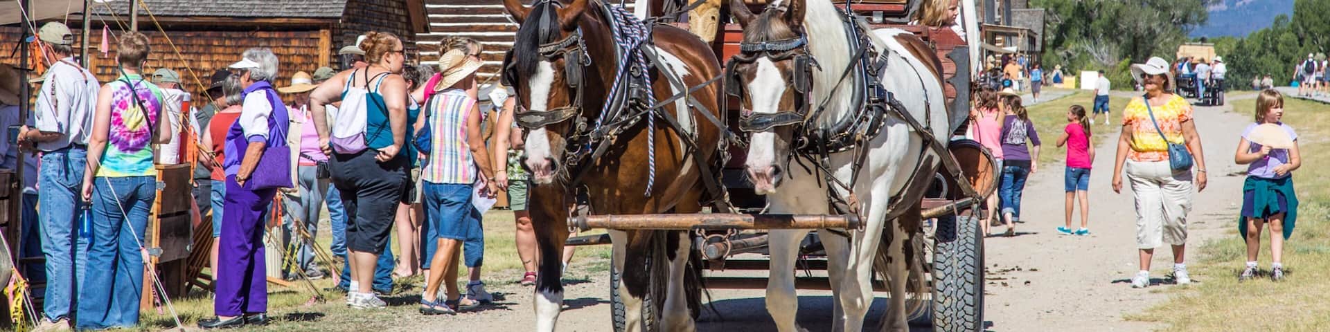 ディロン フィーチャー ストリート シーン と 乗馬 及び 男性 (個人)