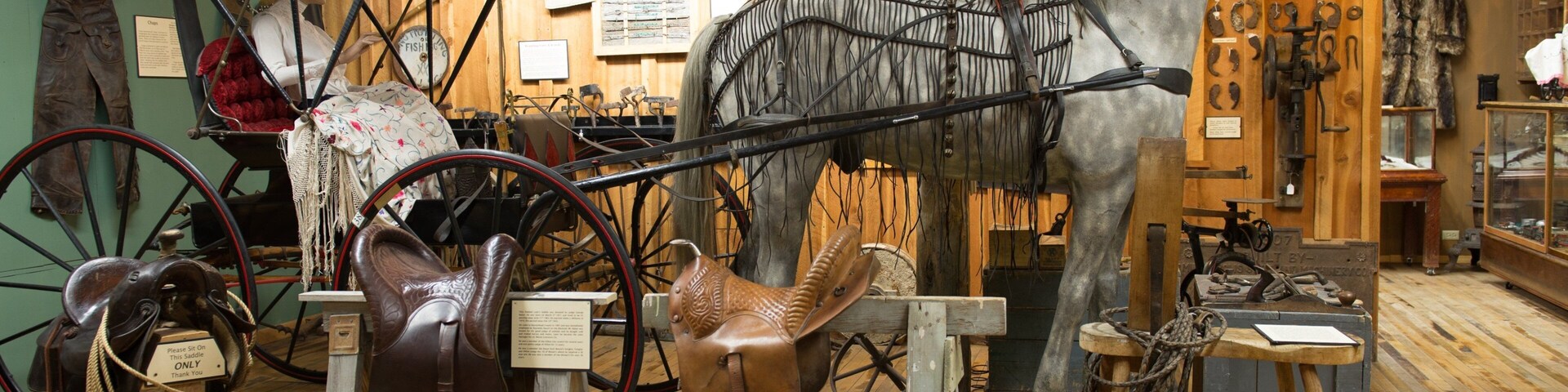 Dillon que incluye vistas interiores