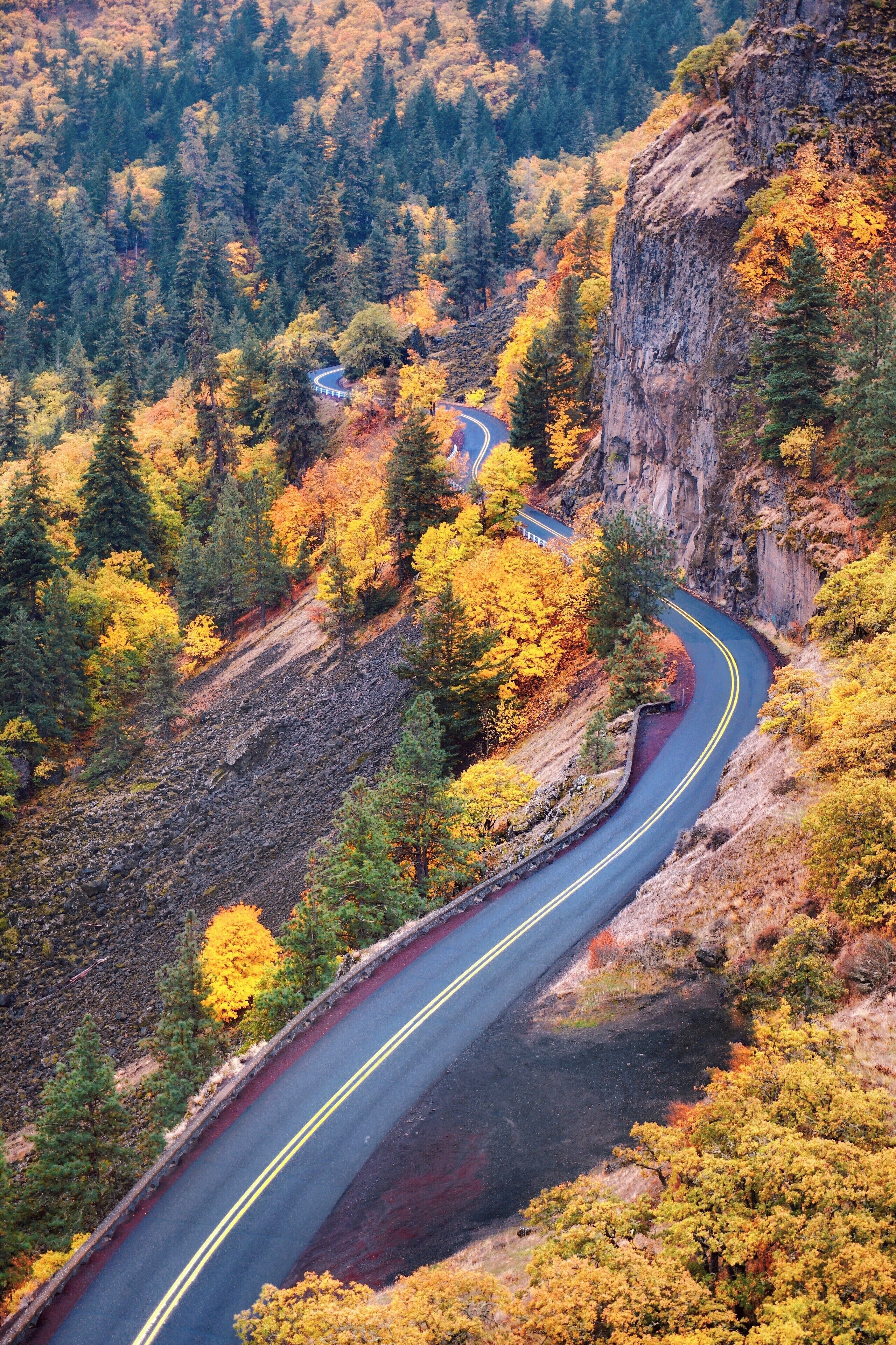 Hello November #trovember #hiking #pnw #colorful #nature