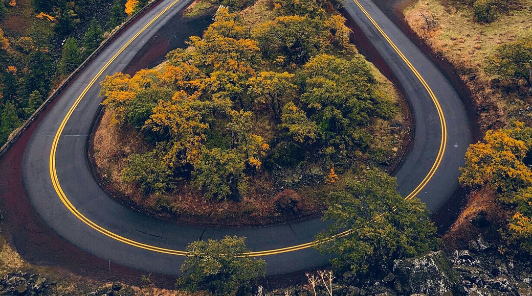 Roadtrippinâ #trovember #hiking #pnw #colorful #nature