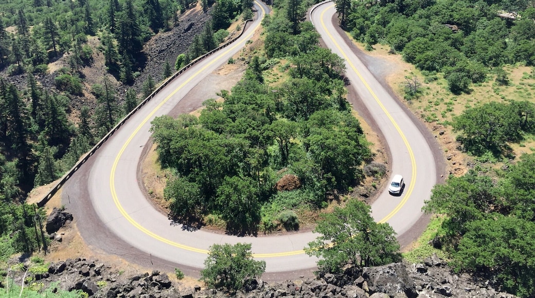 Tucked in Oregon is a windy road that follows Mother Nature's curves, leading to this amazing viewpoint. Go on a hot summer day so that you can see the clear blue skies reflect onto the Columbia River. #LifeAtExpedia