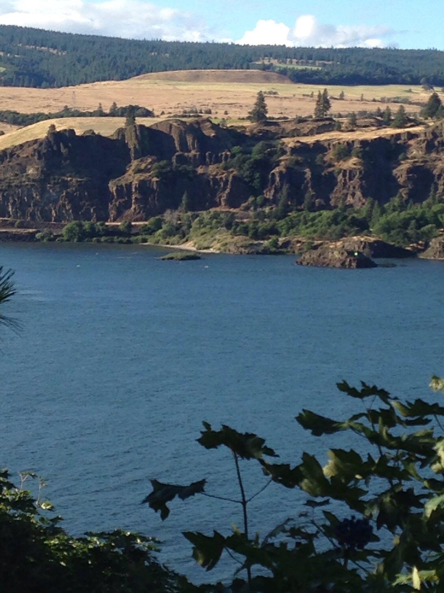 I just love how the scenery changes in The Gorge from all #green and pine trees to rocks, some pine trees, and dry grass. 