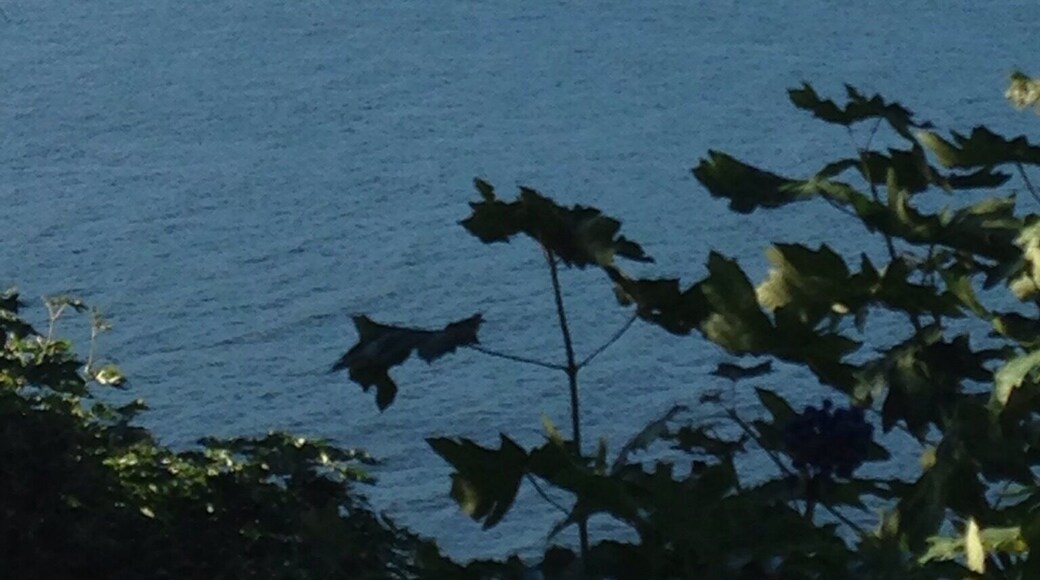I just love how the scenery changes in The Gorge from all #green and pine trees to rocks, some pine trees, and dry grass.