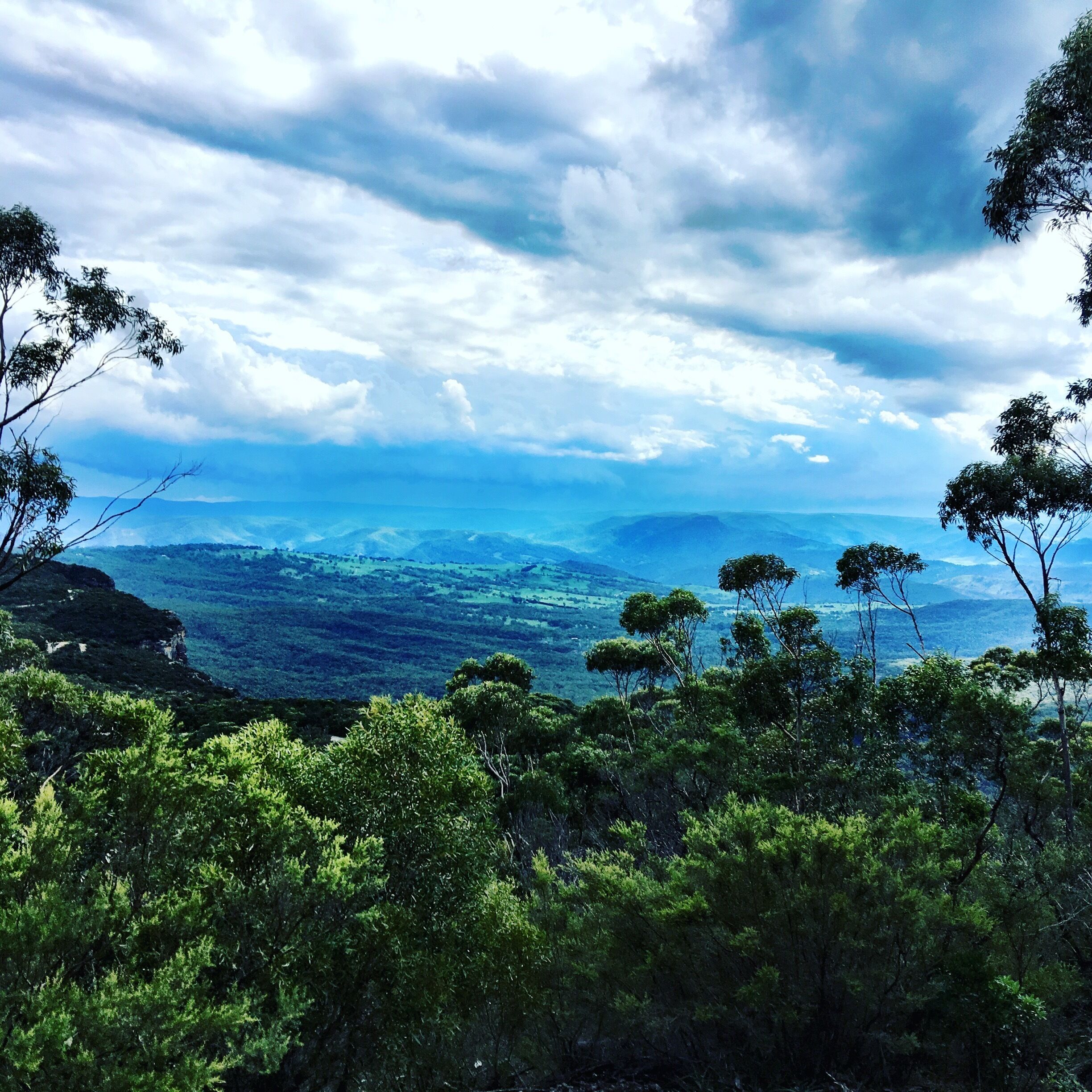 Blue Mountains National Park, NSW, Australia.

Well worth a day out from Sydney...
#bluemountains
#australia