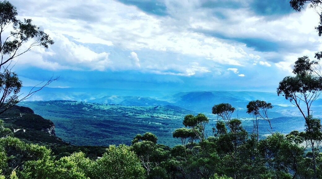Blue Mountains National Park, NSW, Australia.
Well worth a day out from Sydney...
#bluemountains
#australia