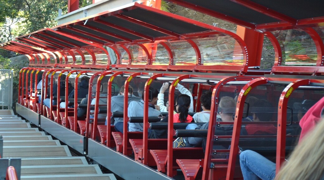 World's Steepest Railway, NSW Australia