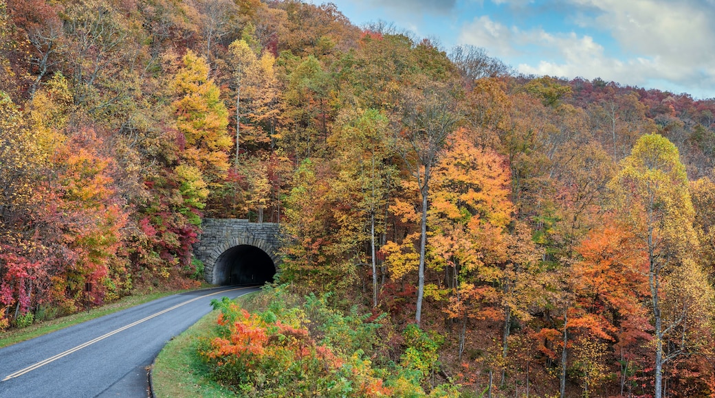 Beautiful autumn fall colors at tunnel entrance on the Blue Ridge Parkway near Asheville - North carolina