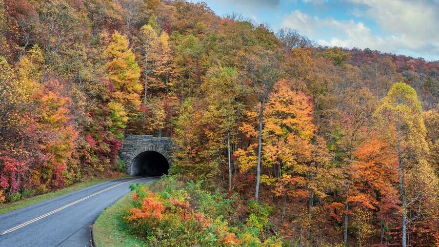 Blue Ridge Parkway Asheville Entrance