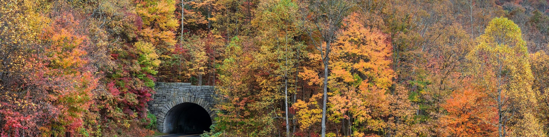 Beautiful autumn fall colors at tunnel entrance on the Blue Ridge Parkway near Asheville - North carolina