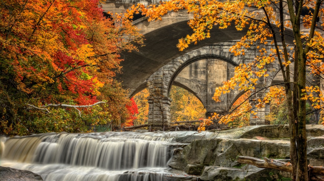 Une cascade, le feuillage automnal et un pont de pierre.