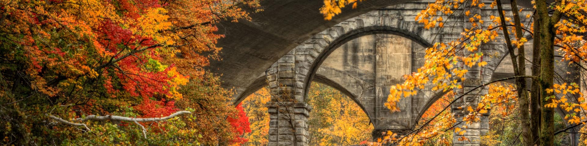 A waterfall, autumn foliage, and a stone bridge.