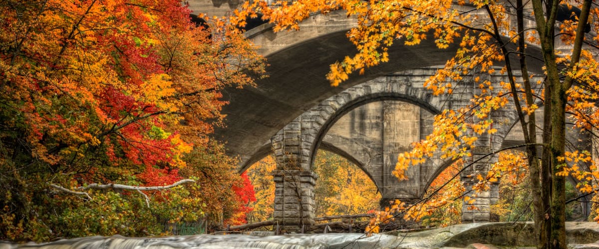 A waterfall, autumn foliage, and a stone bridge.