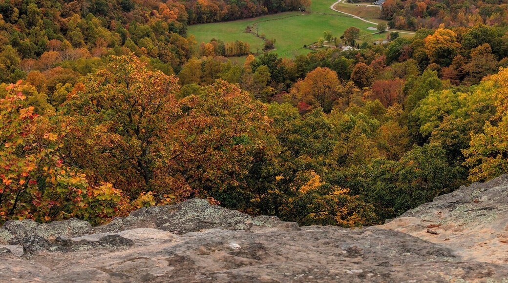 This is Indian fort lookout. It is in between East and West Pinnacle. We started by hiking West Pinnacle and took a "difficult trail" over to Indian Fort Lookout. It was in-fact, difficult, but for this view, worth it!!!