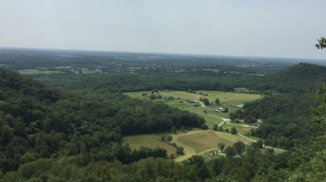 View from Indian Fort Overlook Berea Pinnacles.
