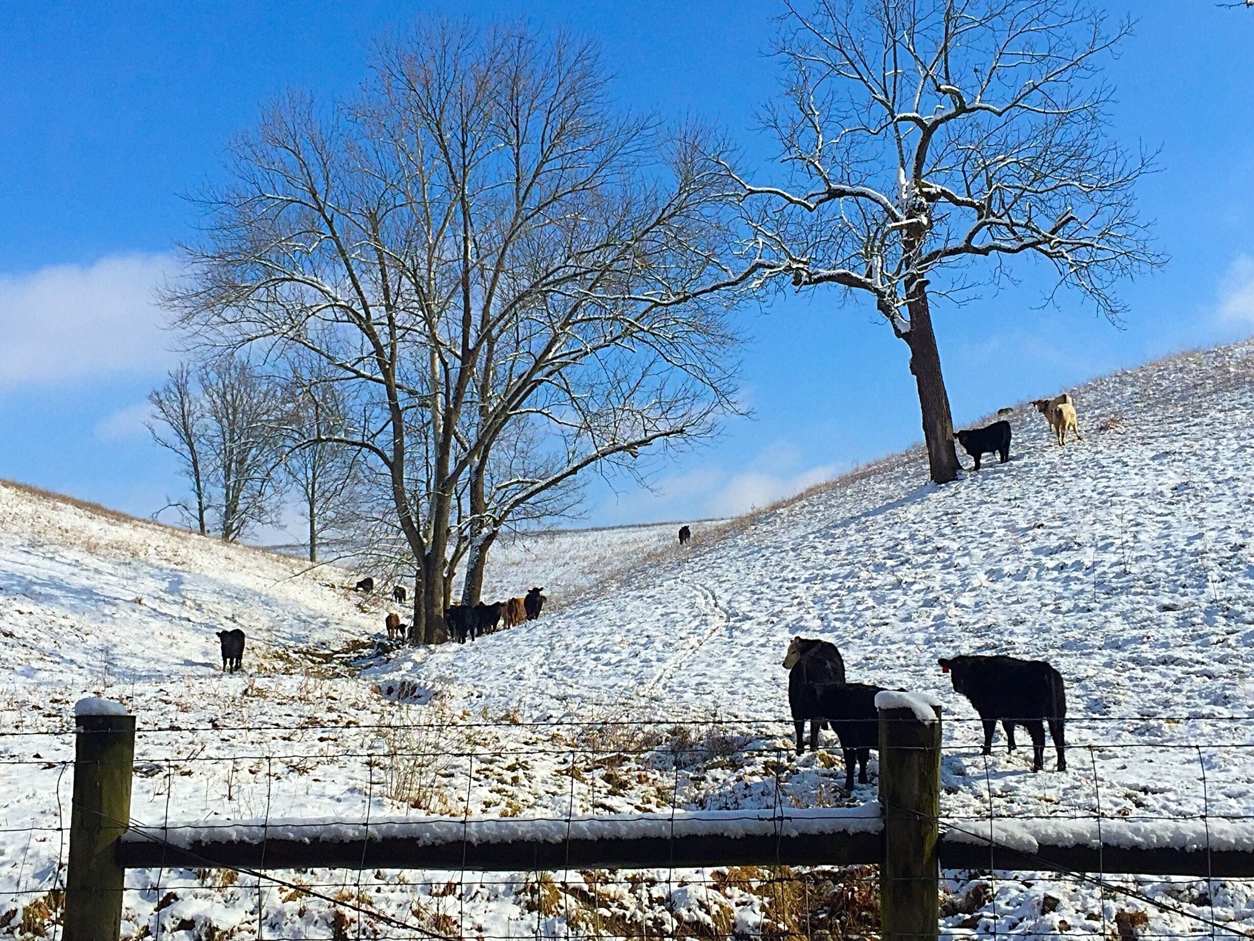 On the way to the airport #snow