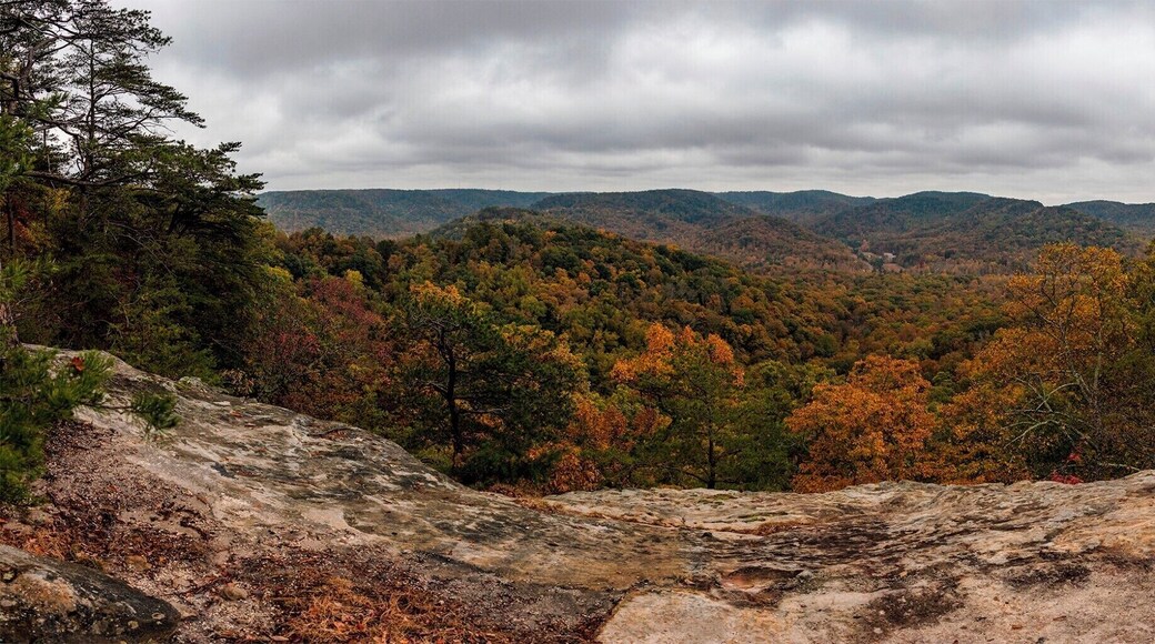 So we may have gotten lost on the tail system. It is very confusing. At one point I passed 3 signs that said Indian Fort Lookout was .1 mile ahead (I never turned off the path I was on). After getting lost I came across this overlook; Very happy I got lost. And, you know, you're never lost in the woods, you are just exploring a new path.