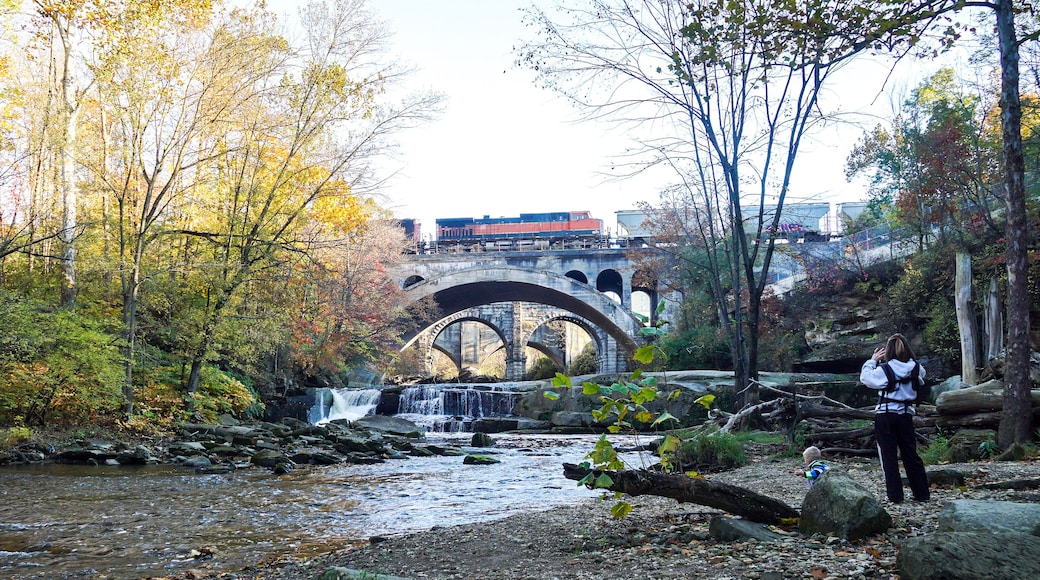 Berea Ohio Scenic Fall Bridge River and Tree View