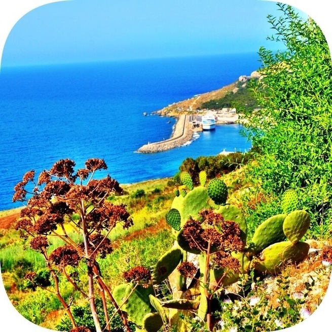 Mgarr is known as the gateway to Gozo.
This a view of the full harbor, marina, and ferry port. It's about a 30
Minute ferry ride from Malta. We took a jeep tour for 89.00 euro that included pick up at our hotel in St. James on Malta in an enclosed and air conditioned Land Rover, ferry ride over and back, knowledgeable guide/driver, lunch with bottle of nice local wine, and a flexible schedule and tour route. We were picked up at 7:30 a.m. and dropped off around 6:00 p.m. So it was a nice long day. We tipped our driver generously as he made the tour spectacular! I highly recommend http://www.captainmorgan.com.mt for any tour while in Malta or Gozo.