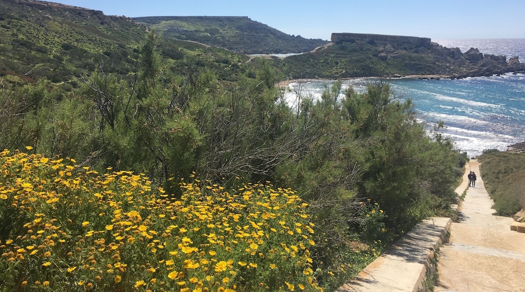 Ghajn Tuffieha, Malta 🇲🇹