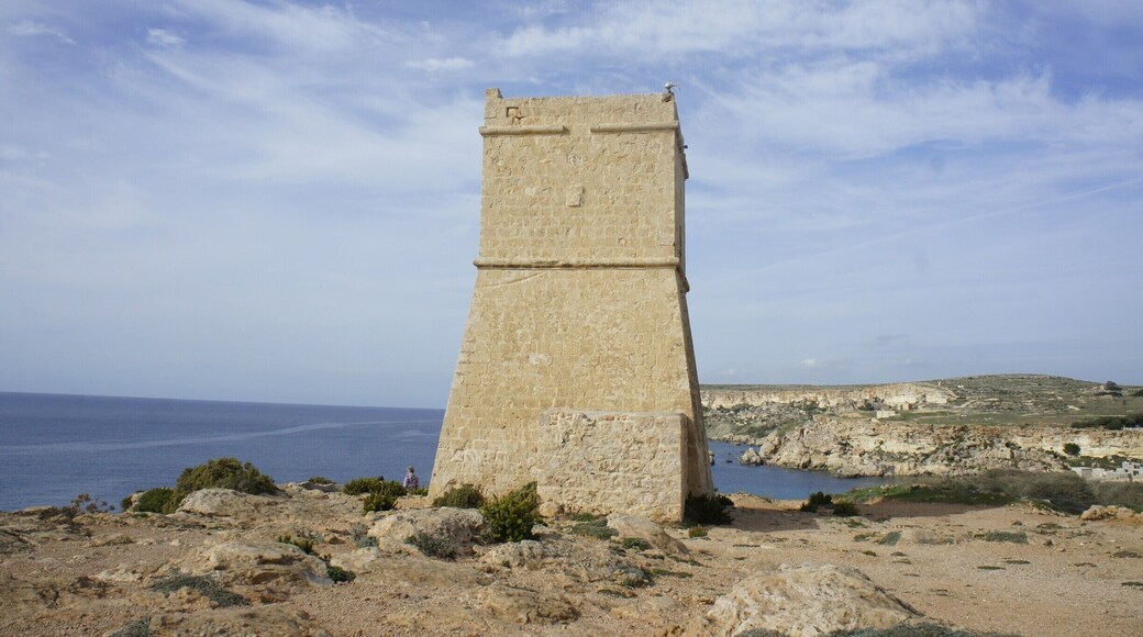 Ghajn Tuffieha Tower was one of the seven towers built by Grand Master Lascaris.
It overlooks both Għajn Tuffieħa Bay and the inner bay known as Golden Bay.
#fortification #tower #history #mellieha #malta #beach