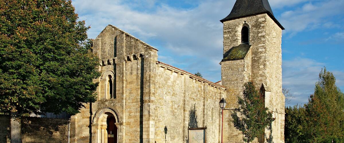 An old stone church with a bell tower and a large tree in front.