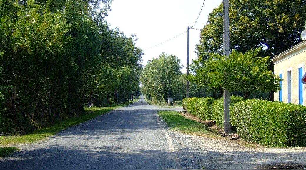 Road